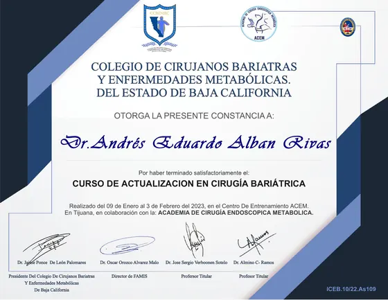 Diploma: Curso de Actualización en Cirugía Bariátrica, Fengh Academy of Minimally Invasive Surgery